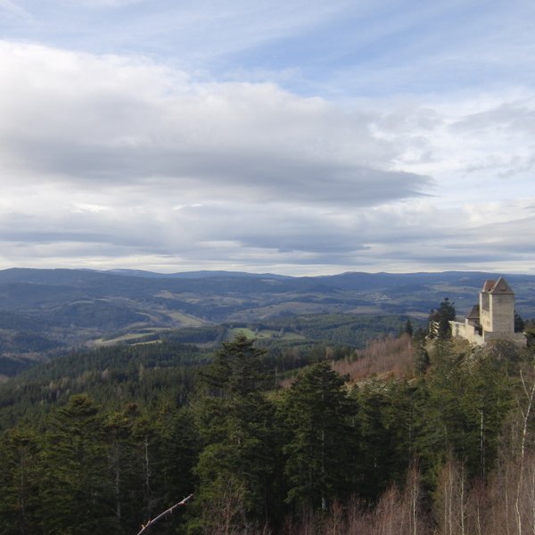Zimní Šumava