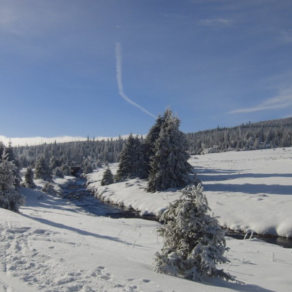 Zimní Šumava